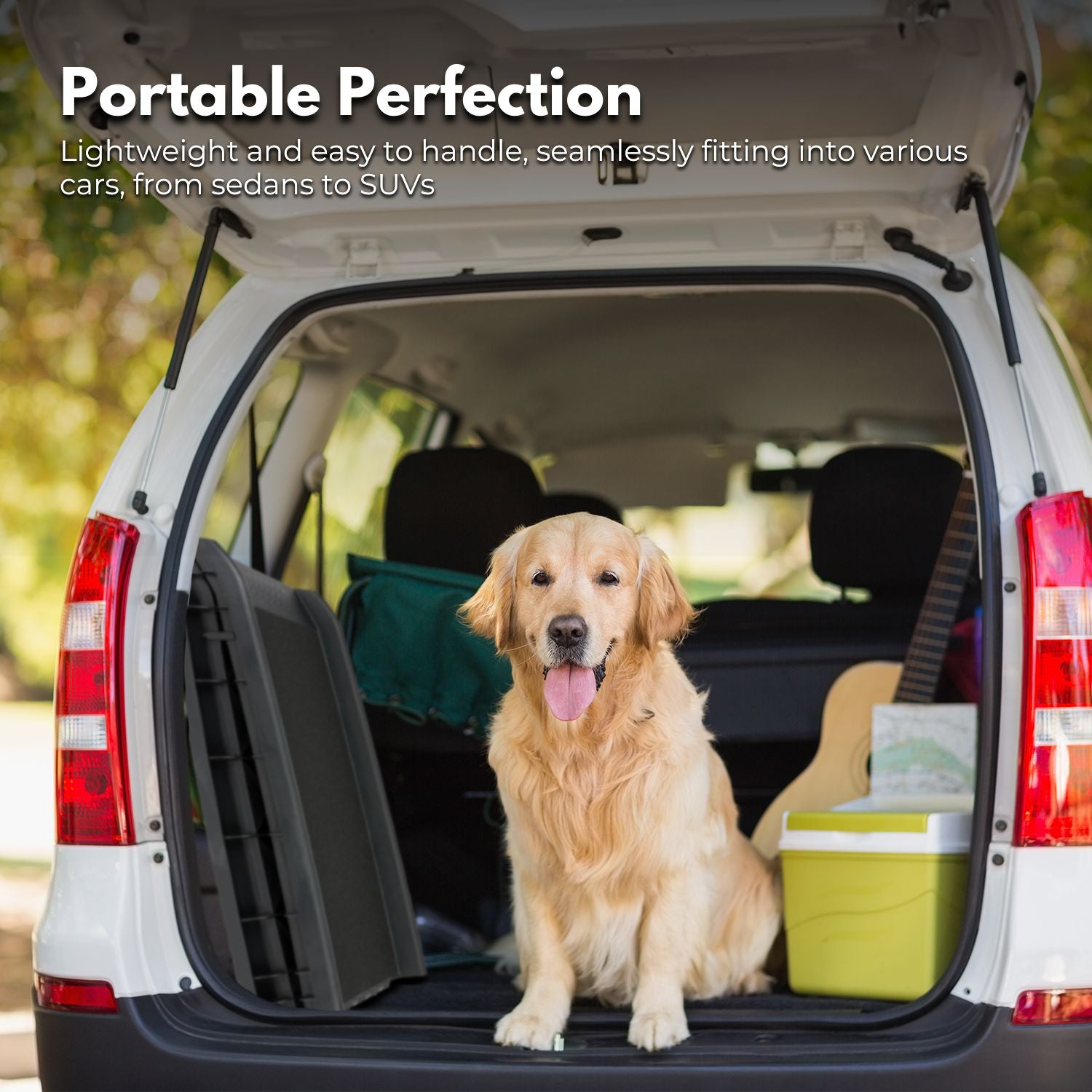 FLOOFI Foldable Non-Slip Surface Dog Ramp for Car