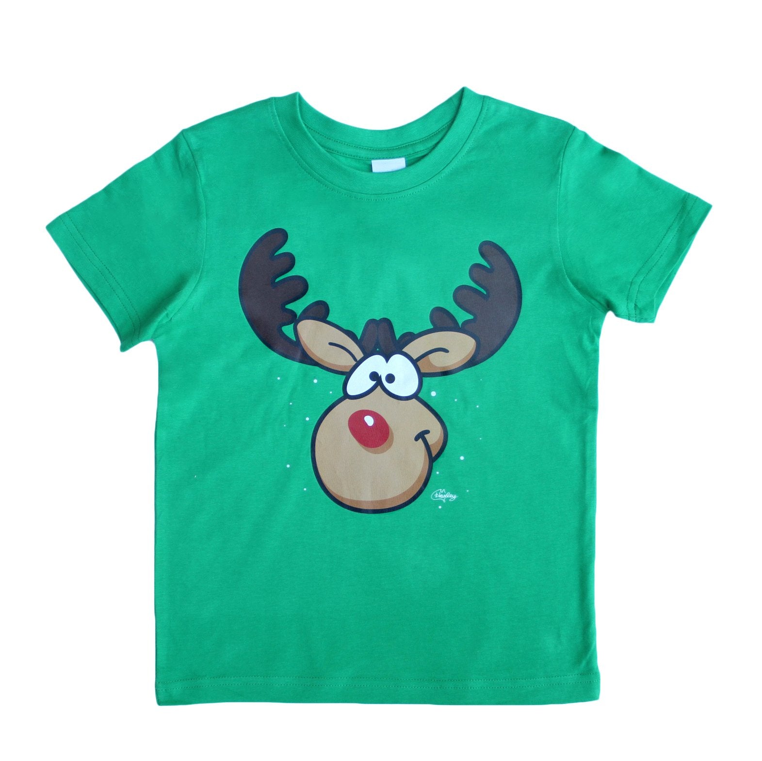 Funny Adult Xmas Christmas T Shirt 100% Cotton Reindeer (Green), M