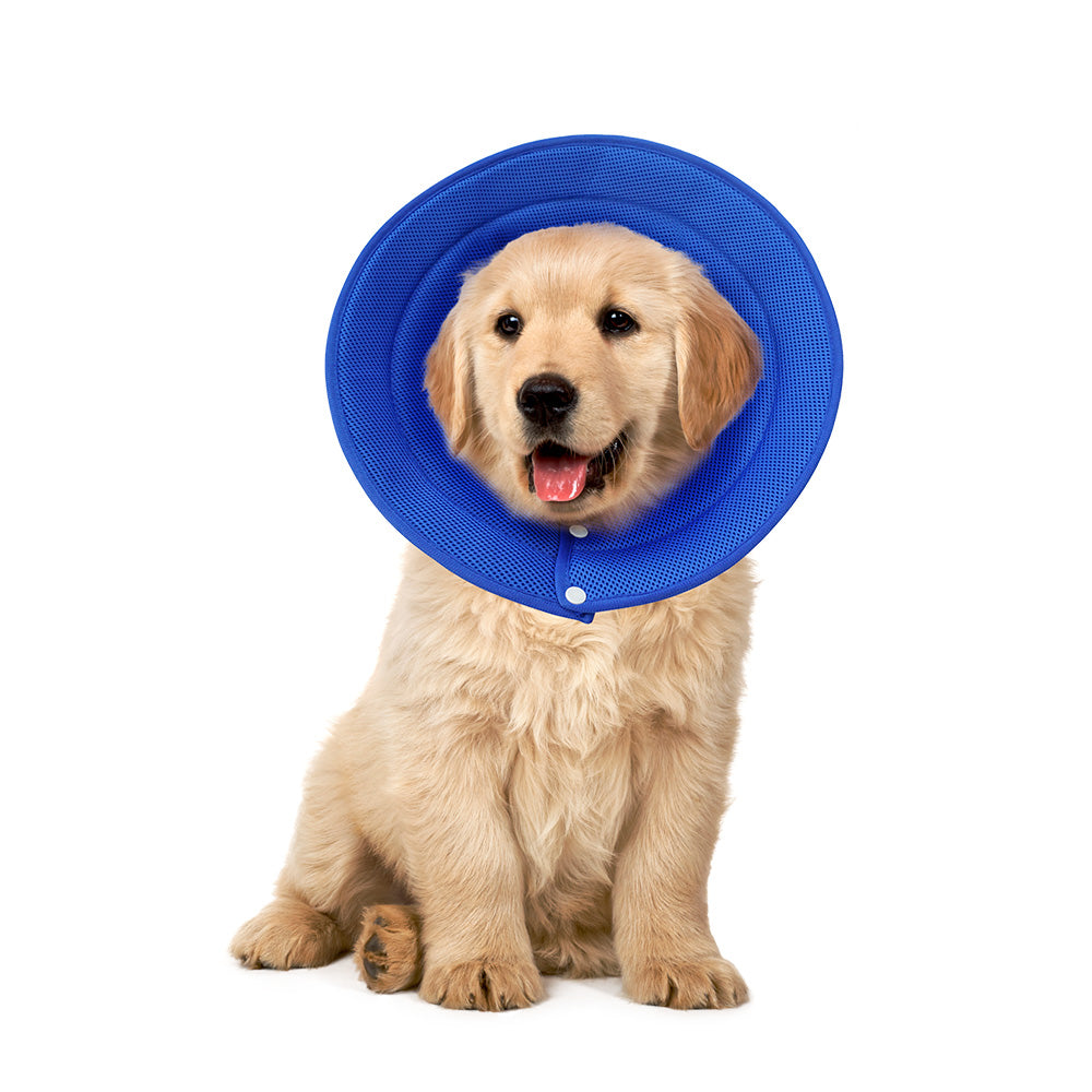 Pet Dog Cat Elizabethan Collar Adjustable Cone Mesh Recovery S-Blue