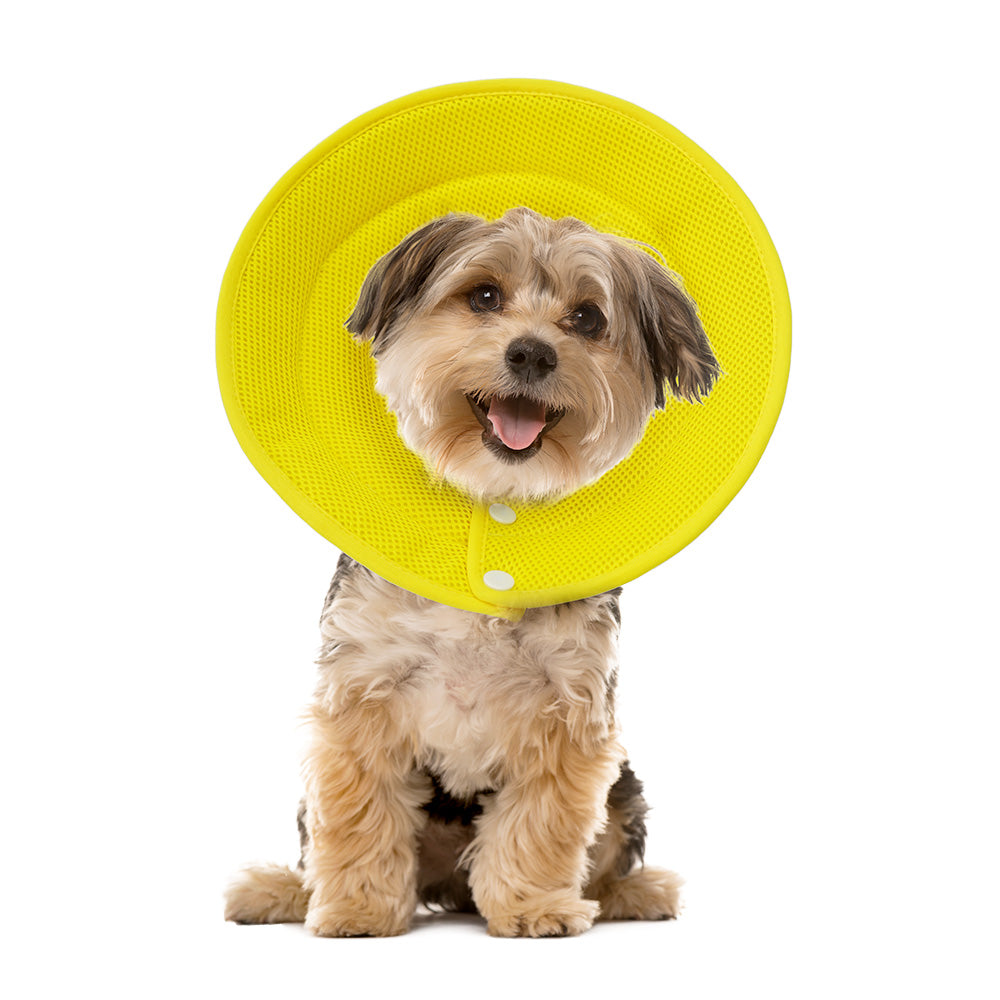 Pet Dog Cat Elizabethan Collar Adjustable Cone Mesh Recovery M-Yellow