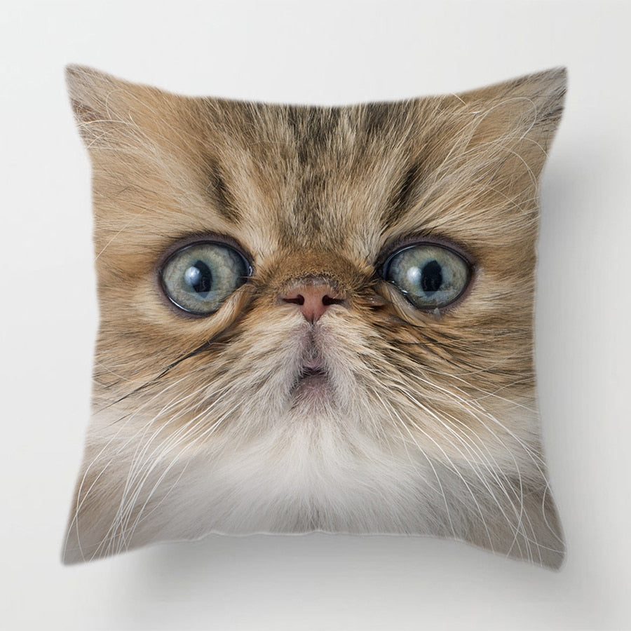 Cat Face Printed Decorative Cushion Cover 45X45CM (14)