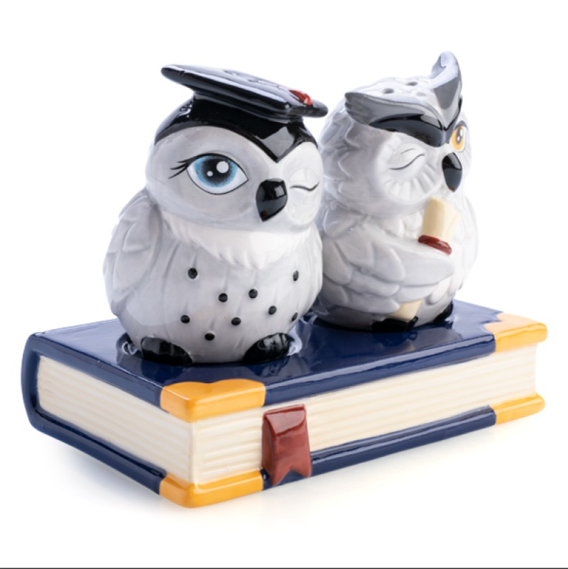 Owl Salt and Pepper Set