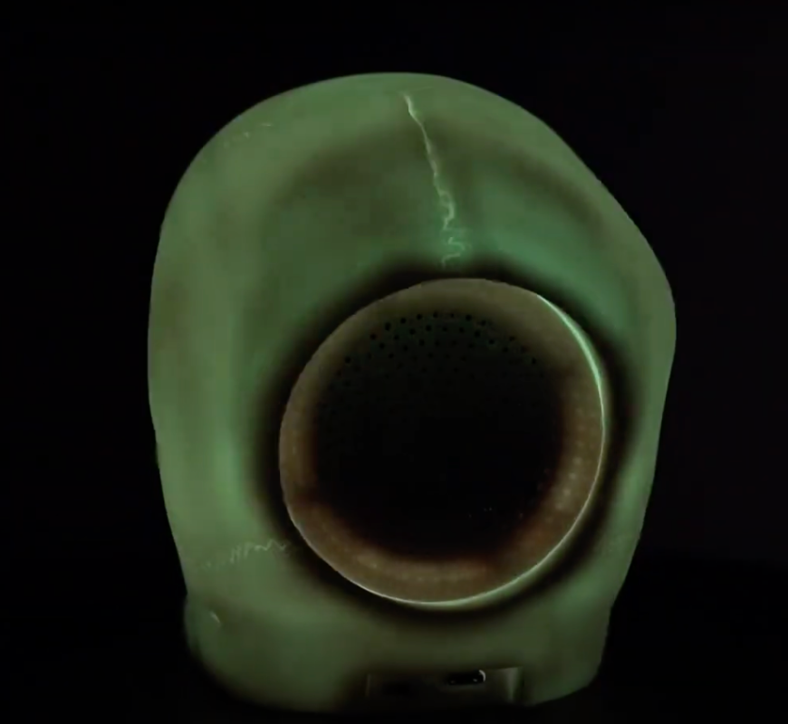 Light Up Skull Speaker