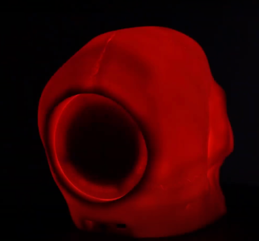 Light Up Skull Speaker