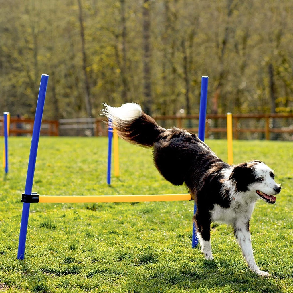 Floofi Dog Agility Training Set