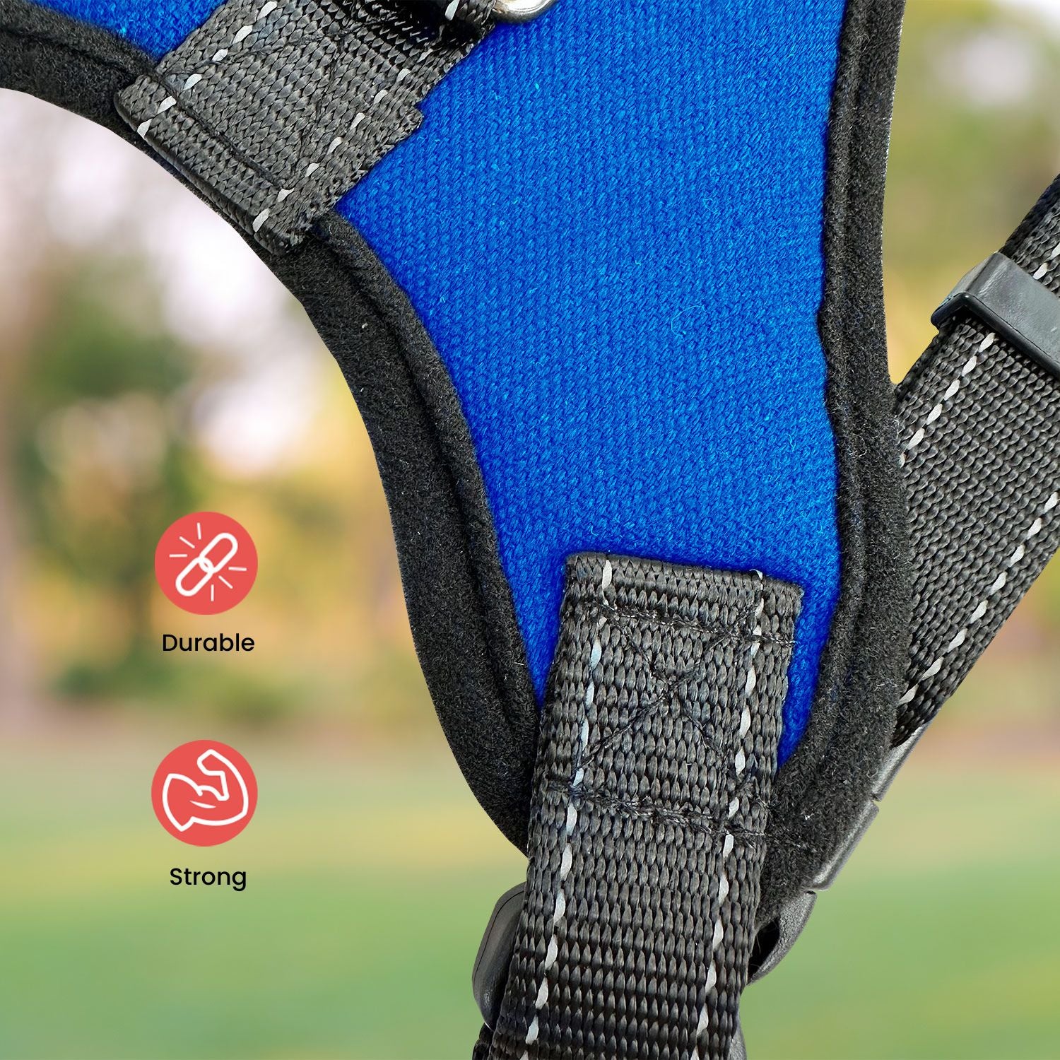 FLOOFI Dog Harness XXL Size (Blue)