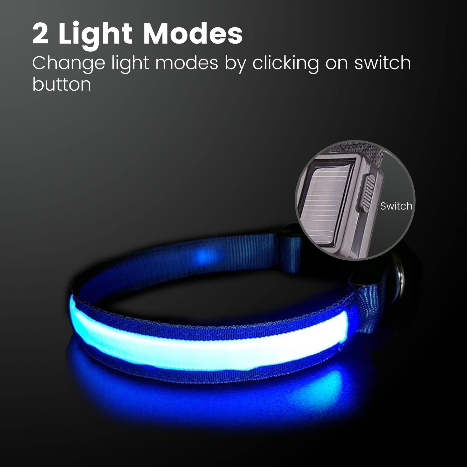 Floofi Solar USB Rechargable LED Dog Collar (L Blue)