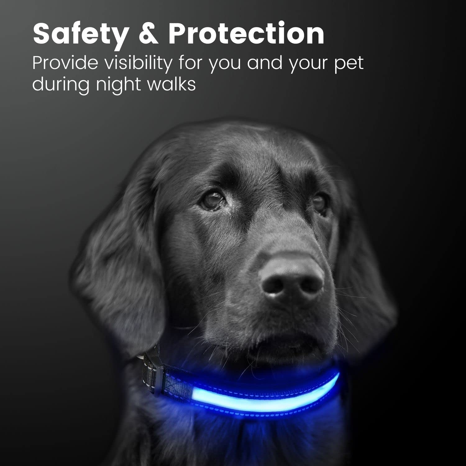 Floofi Solar USB Rechargable LED Dog Collar (L Blue)